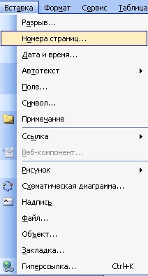 Пункт меню "Вставка" - "Номера страниц"