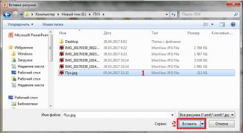 Вставить рисунок из файла