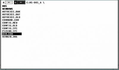 Скопированный на диск С файл WIN.COM
